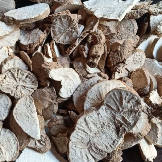防己 中药材粉防己 粉防己