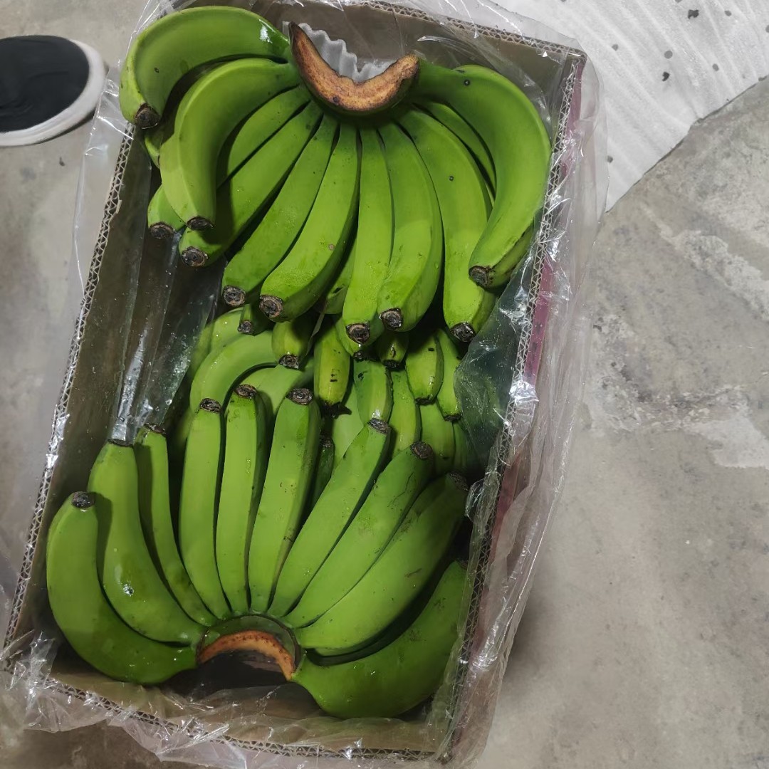 专业批发广东广西云南香蕉。保质保量。大量有货
