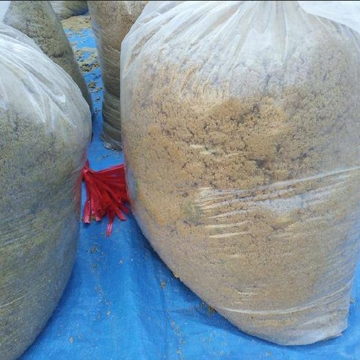 株洲批发新鲜豆腐渣