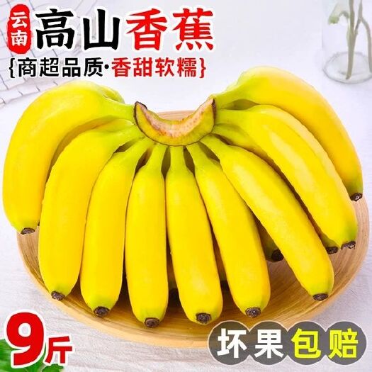 昆明高山大香蕉当季新鲜水果一整箱批发价非米椒芭蕉