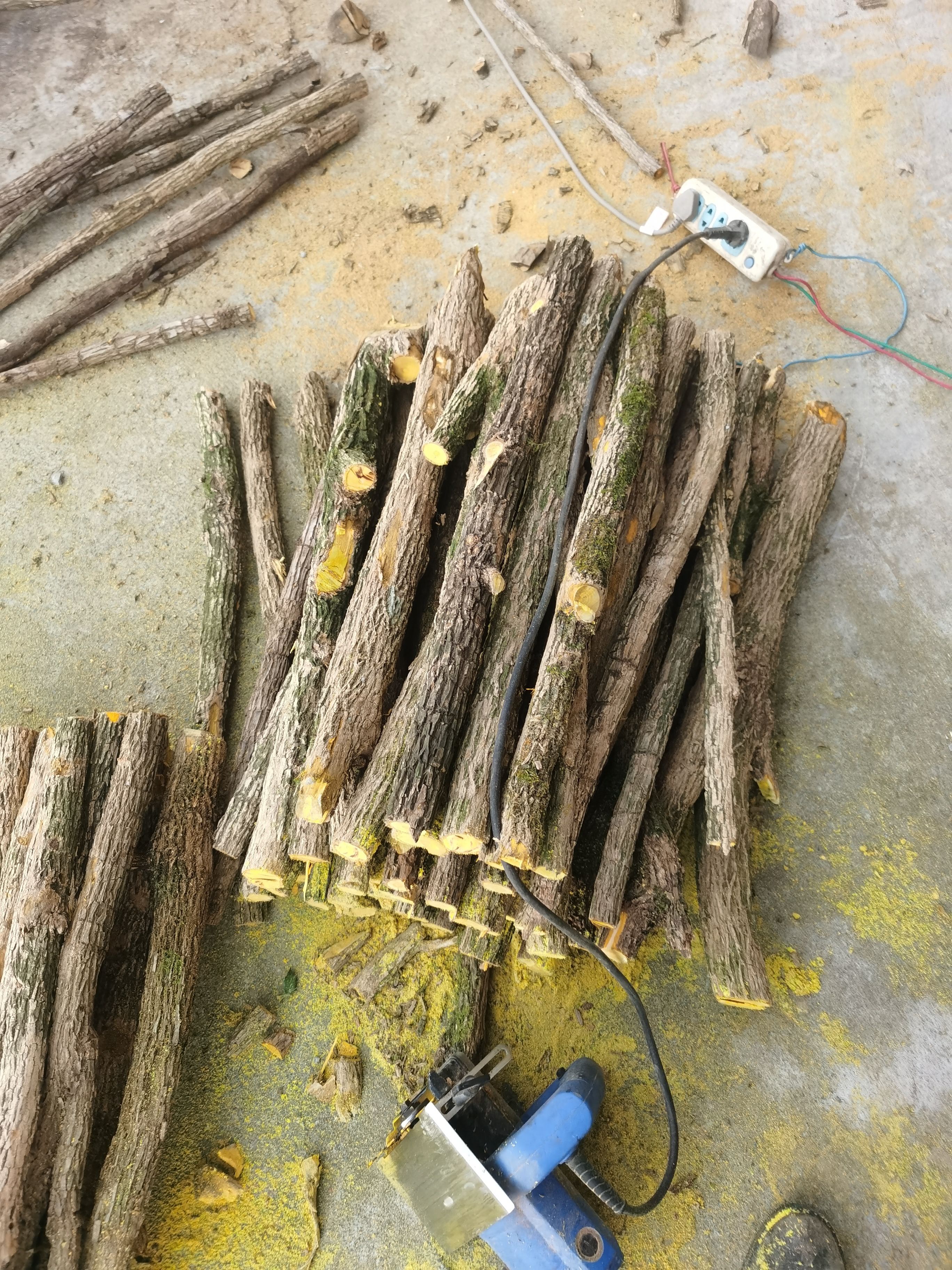 三颗针 十大功劳，刺黄连，