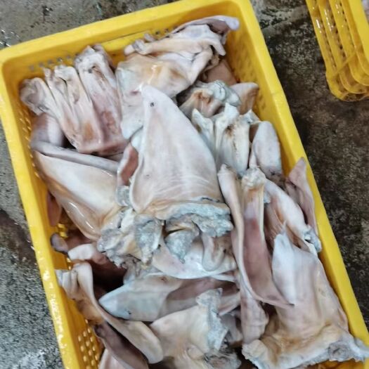 广州牛耳