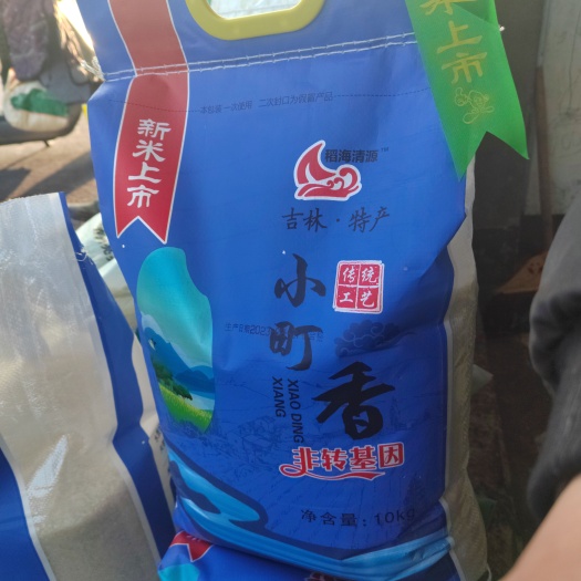贵阳秋田小町香