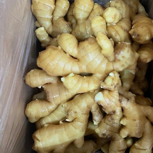 安丘市水洗面姜 加工出售中