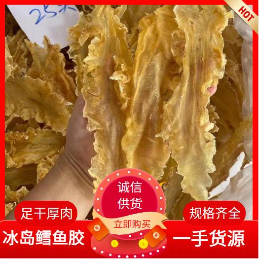 广州冰岛鳕鱼胶各规格，足干厚肉，一手货源，10之110头长期有货