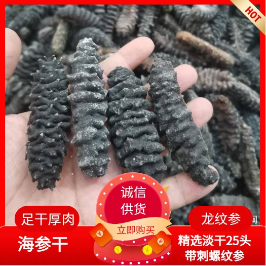 海参干 精选淡干25头带刺螺纹参，龙纹参，足干厚肉均匀，价优