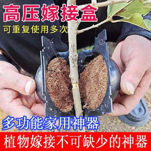 连云港植物高压繁殖盒果树花木扦插嫁接家用高空压条生根育苗器月季
