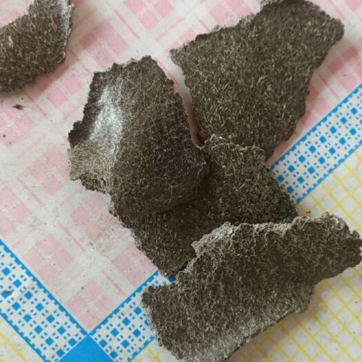 献县高蛋白油葵饼