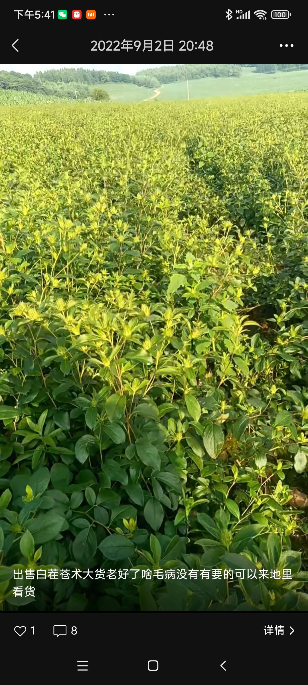 当年白茬种子发芽率高