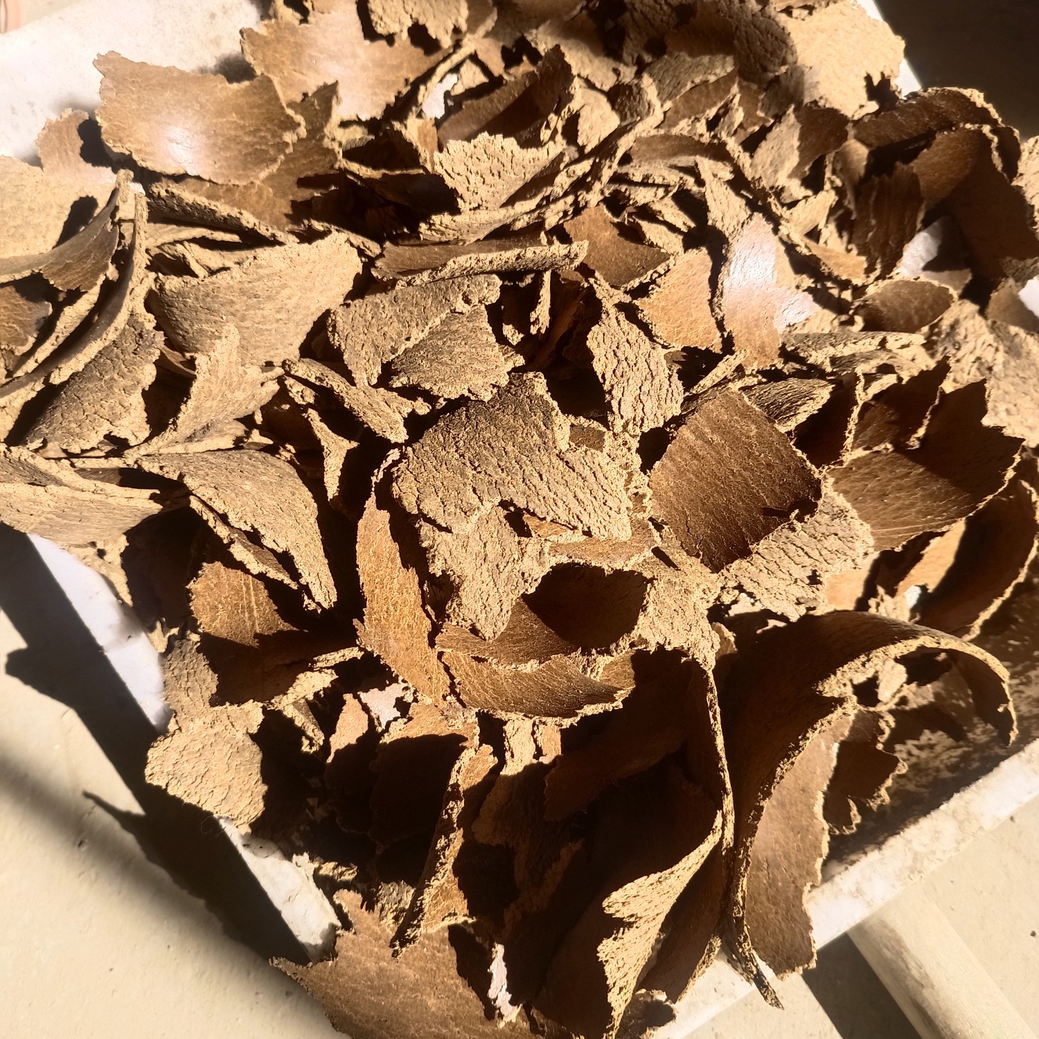 菜籽饼饲料 菜籽饼，胡麻饼，肥料饼，饲料饼柏，源头厂家，一手