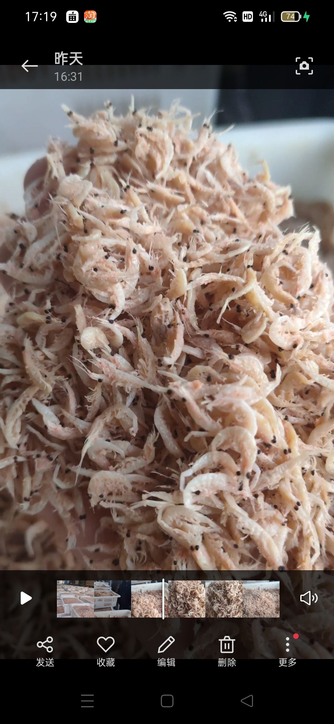 渤海湾引子虾皮