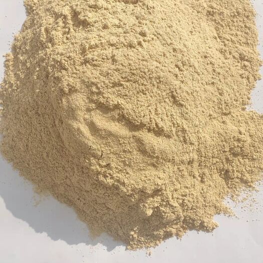 石家庄大豆胚芽粉