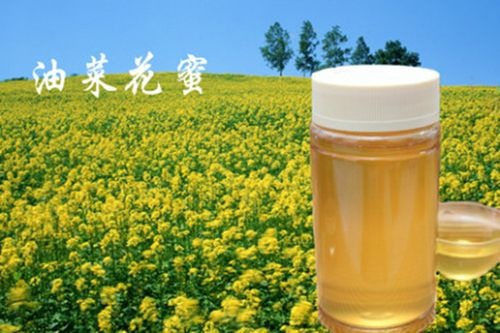 云南罗平县特产油菜花蜜