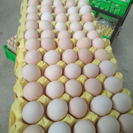 钦州鸡蛋