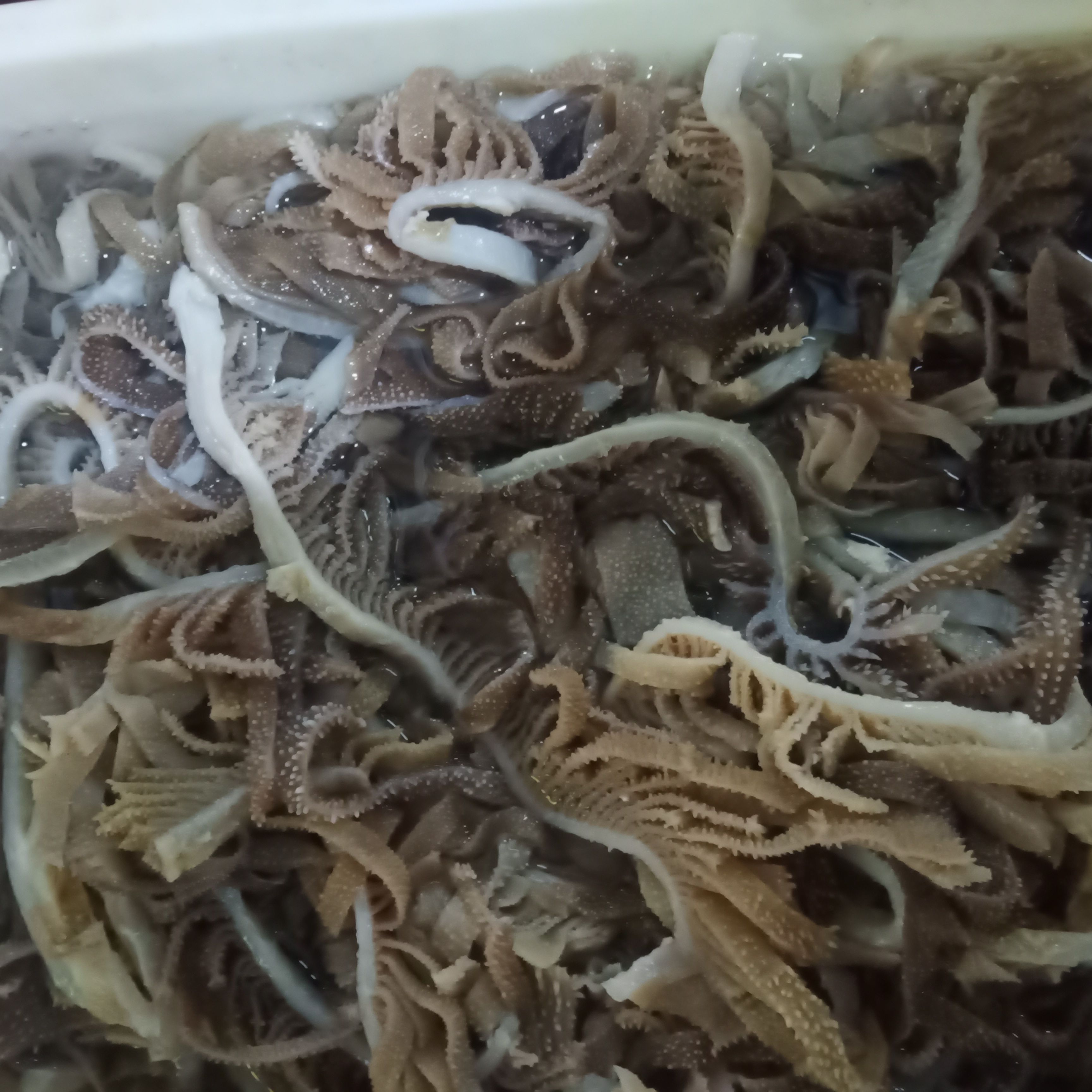 牛肚  小千叶《净重150克一袋袋保鲜水八两左右一包》