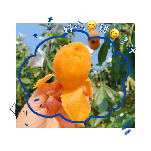 云霄县云霄枇杷 产地直销/一件代发/现摘现发/顺丰包邮