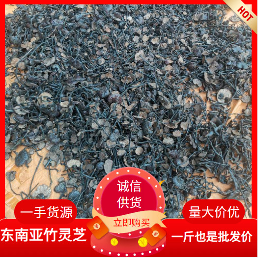 广州东南亚竹灵芝一手货源，新货上市，一斤也是批发价，包邮