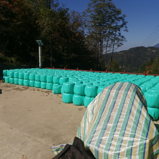 城口青储草料，重庆地区大量销售青贮牛羊草料！