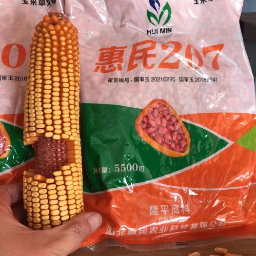 抚顺抗病抗虫，亩产吨粮，抗倒
