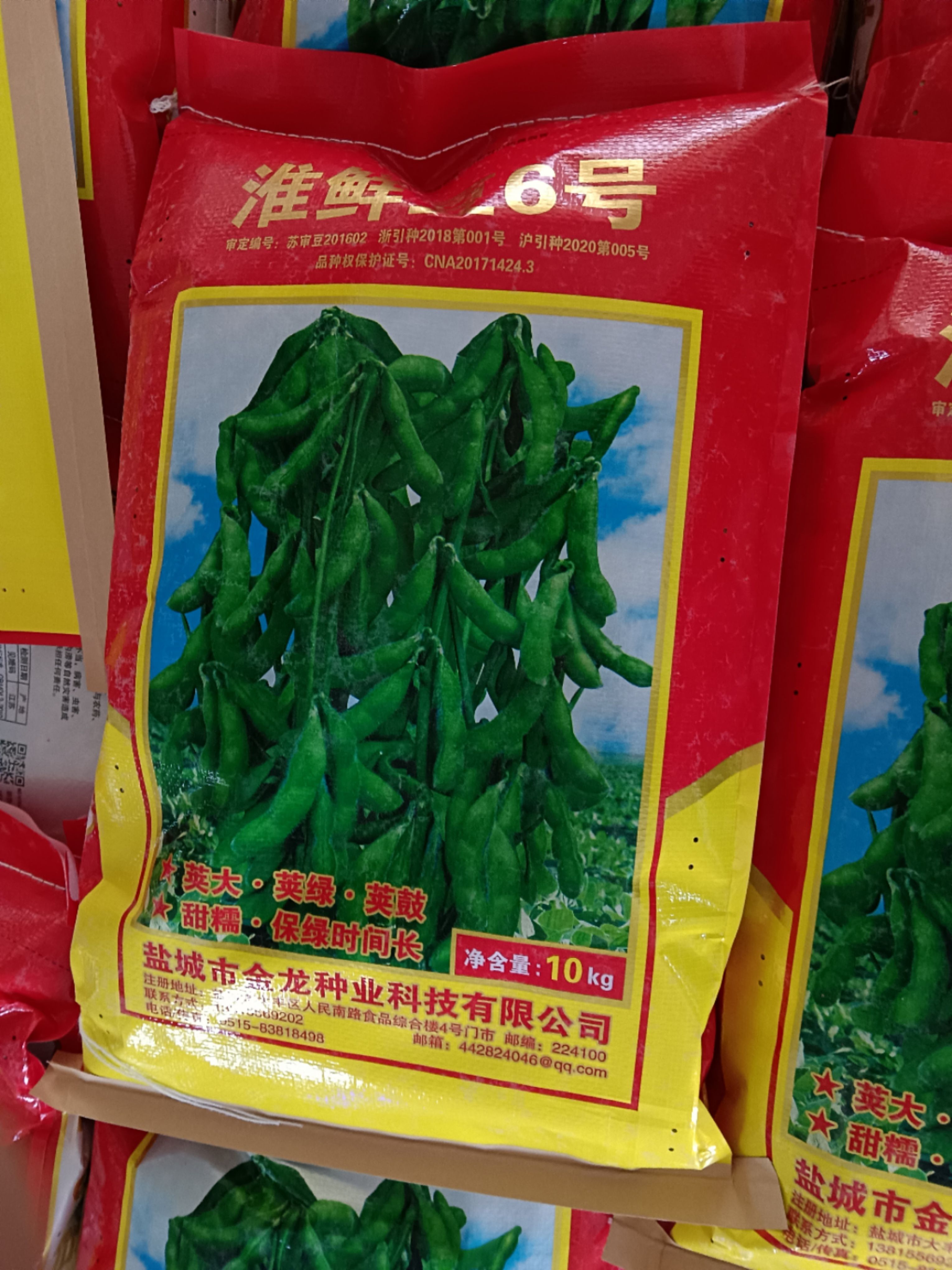 毛豆种，鲜豆荚专用，夏季种植，适合淮河以南地区生长