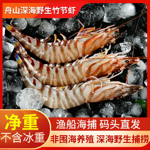 舟山竹节虾鲜活特大号九节虾新鲜大虾黑虎虾海虾海鲜水产包邮