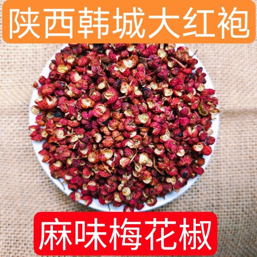 玉林陕西韩城大红袍花椒梅花椒普通花椒特麻花椒源产地供货
