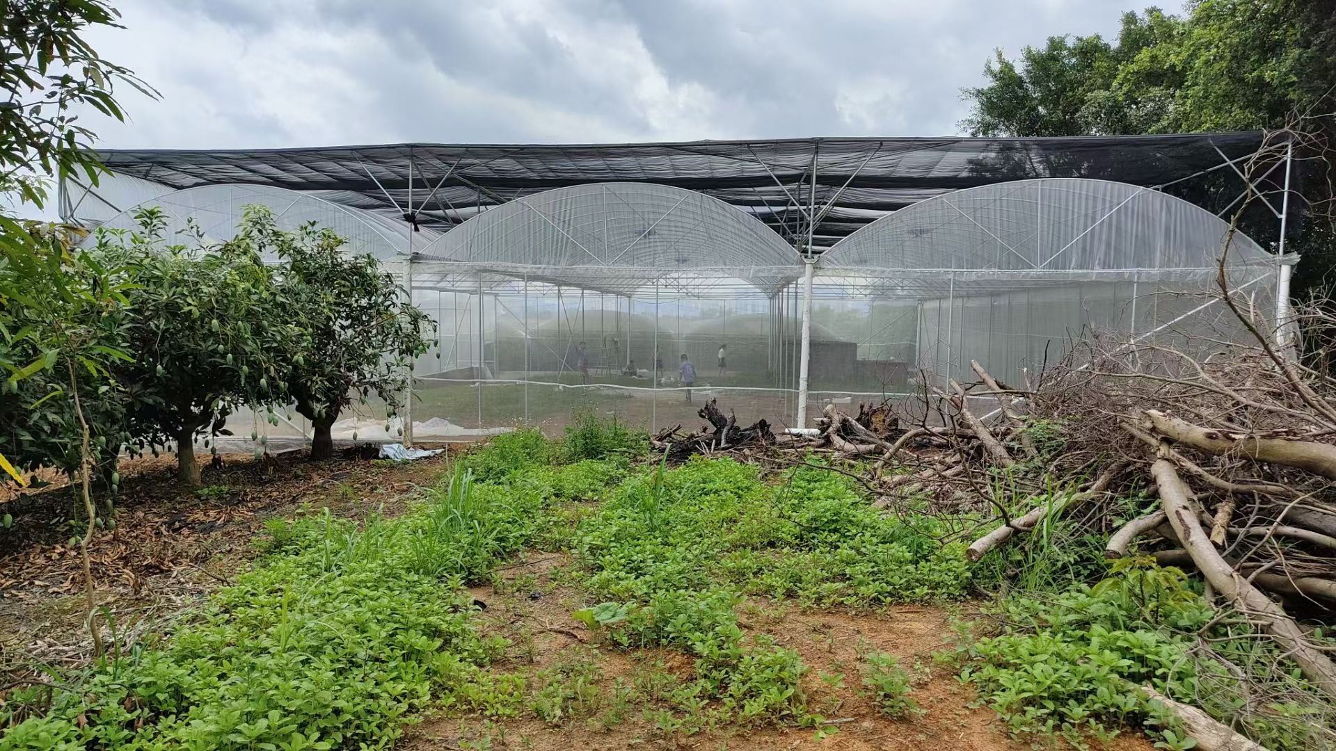 温室大棚骨架蔬菜种植大棚