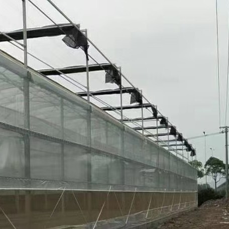 无锡温室大棚 蔬菜大棚 种植大棚养殖大棚连栋大棚骨架及配件全套