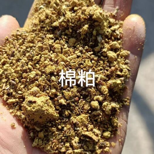 石家庄棉粕