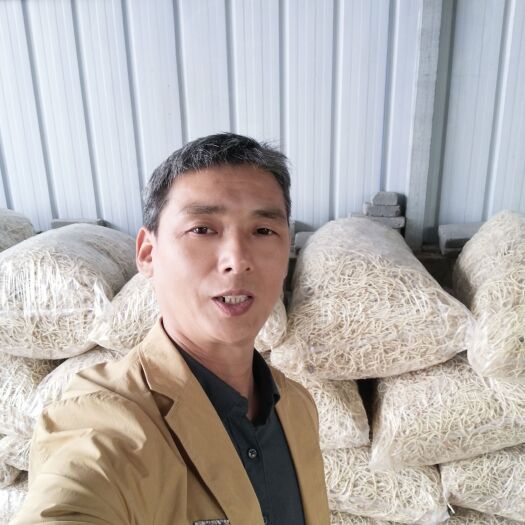 当阳市湖北当阳鱼腥草出售