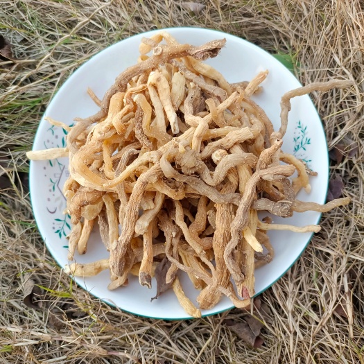 谷城县玉竹大量有货新货上市欢迎