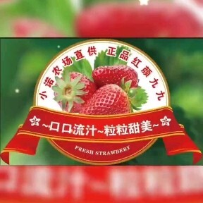 保定红颜草莓