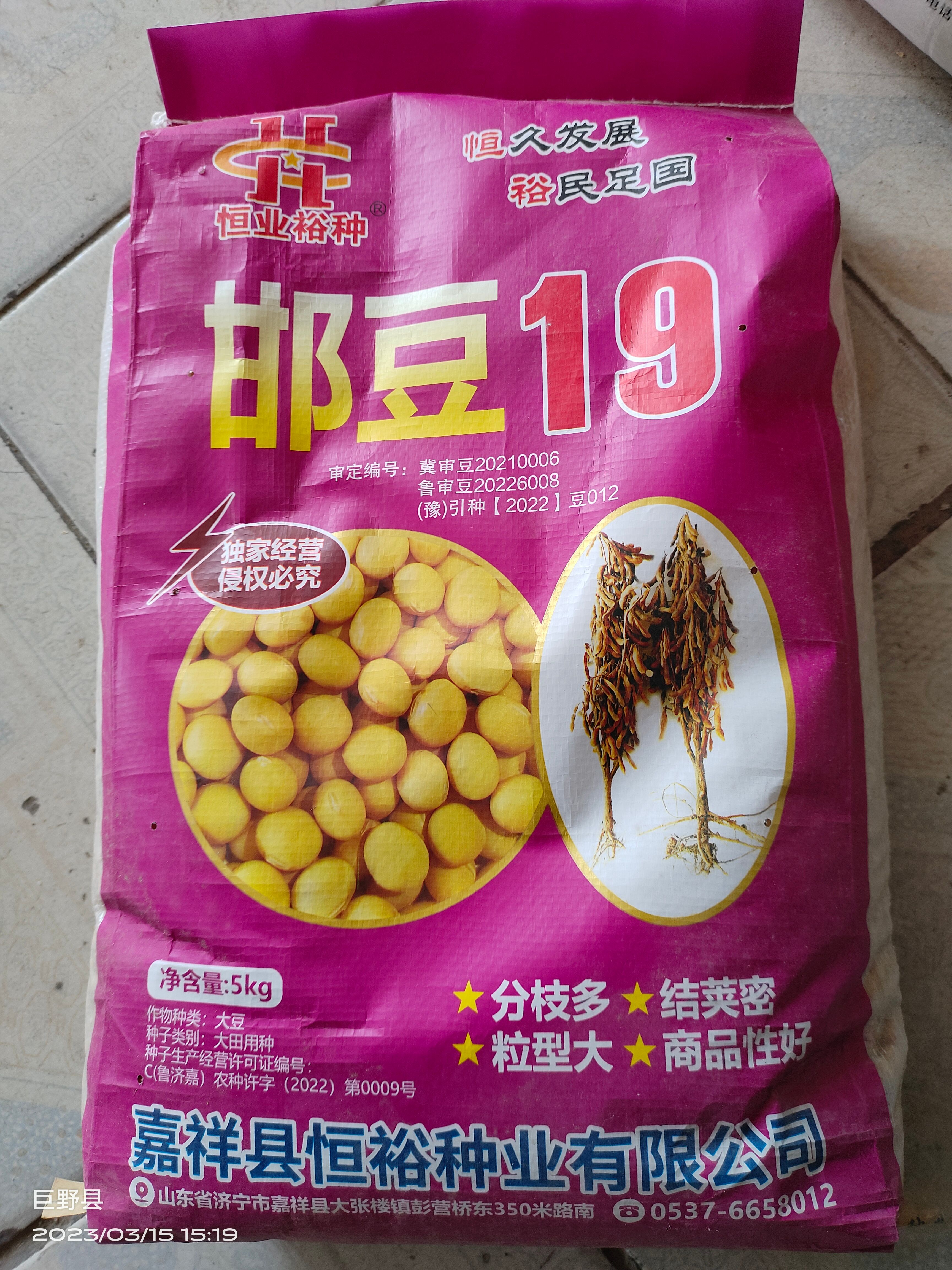 巨野县邯豆15，结痂密，耐高温，分枝多株高矮，产量高！