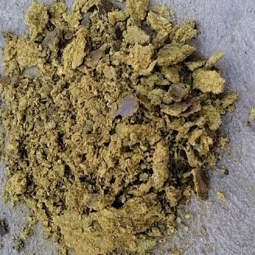 博野县棉粕
