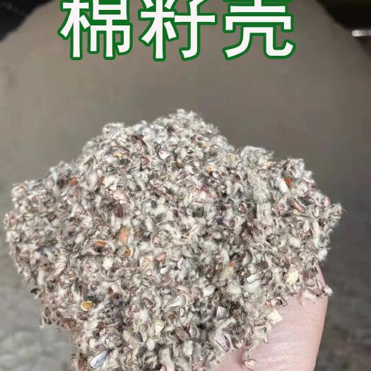 乌鲁木齐新疆棉籽壳产地直发