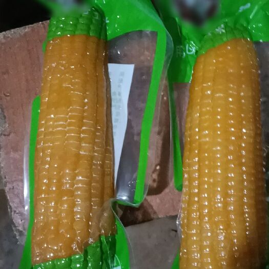 忻州玉米