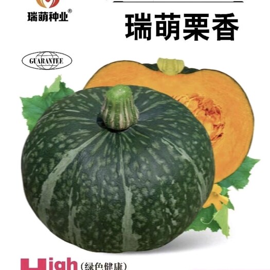 绵阳香栗南瓜种子板栗南瓜种子小南瓜种子嫩南瓜种子栗香南瓜种子