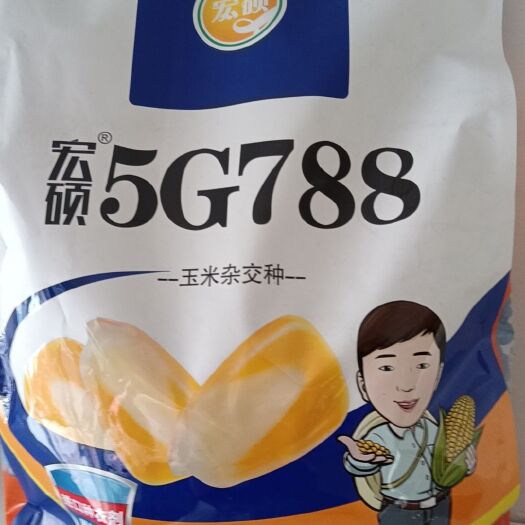 北票市高产不长丫