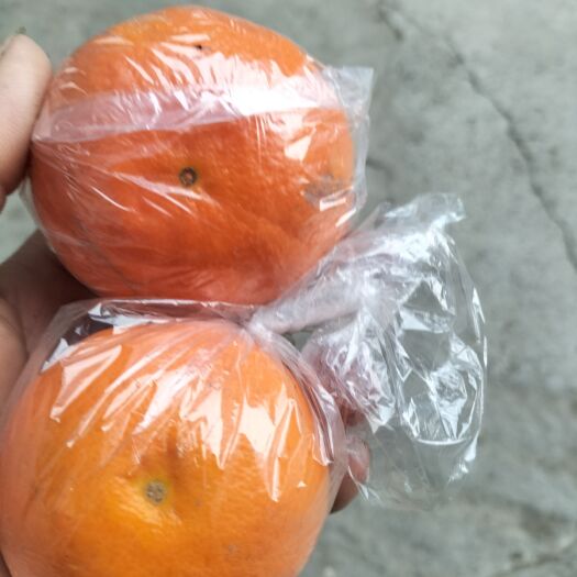 灌阳县保鲜果沃柑60起2.5