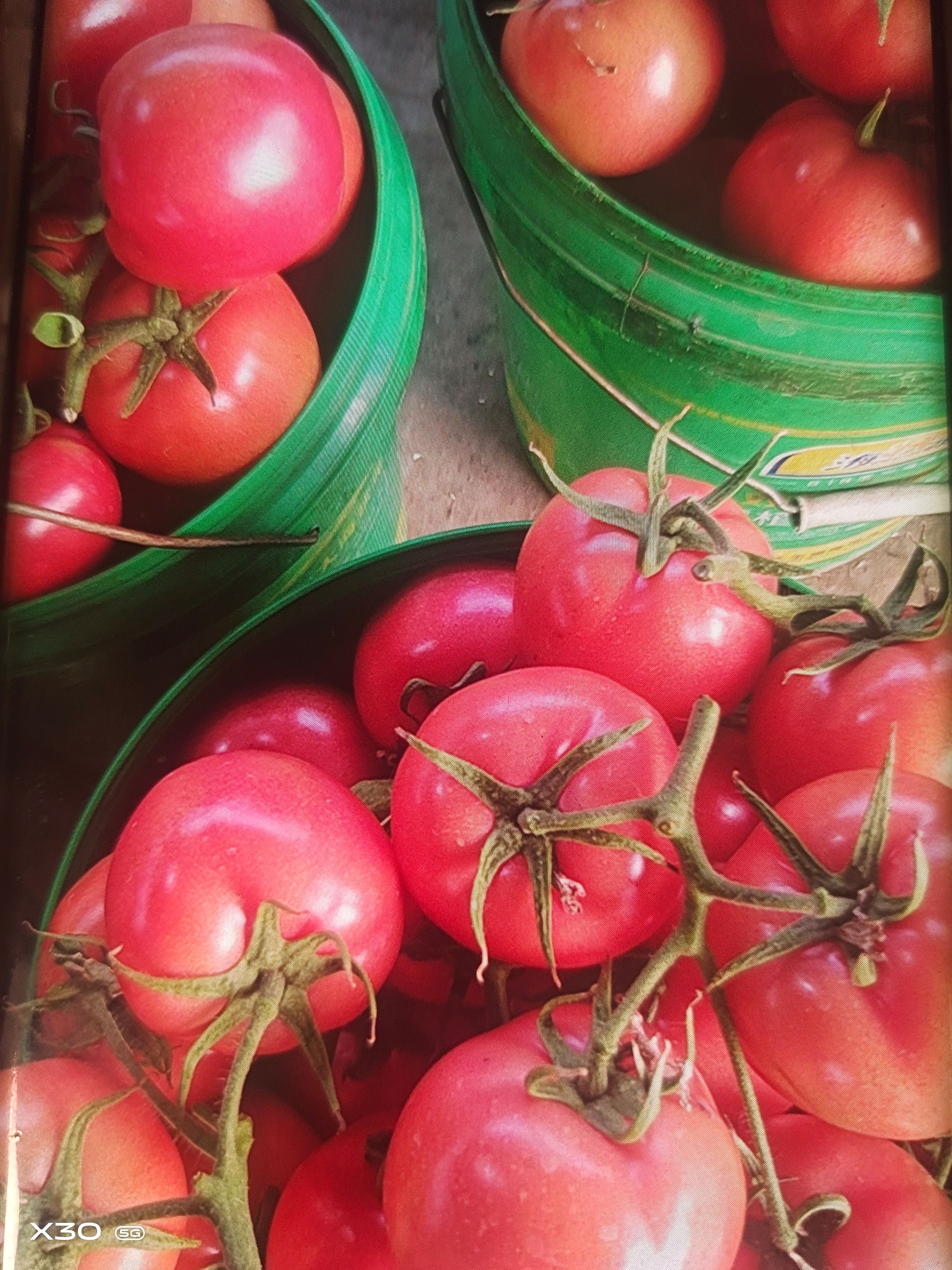 硬粉西红柿串果