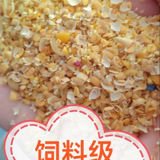 平度市饲料级碎豆
