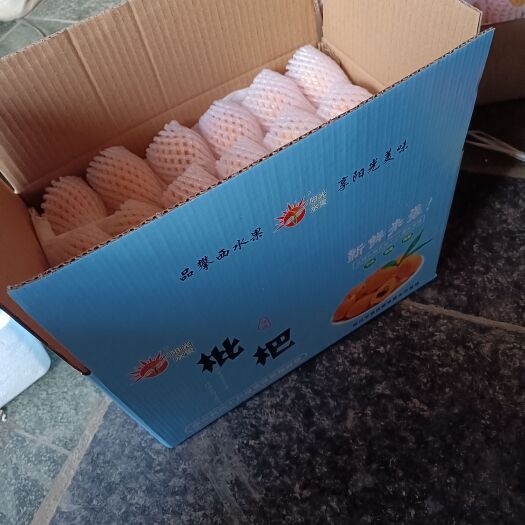 米易县米易.早钟枇杷，特有的枇杷果香，伴随着恰到好处的甜蜜蜜。