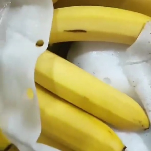 专业批发精品云南广东广西香蕉，赶大集打游击香蕉大量有货。