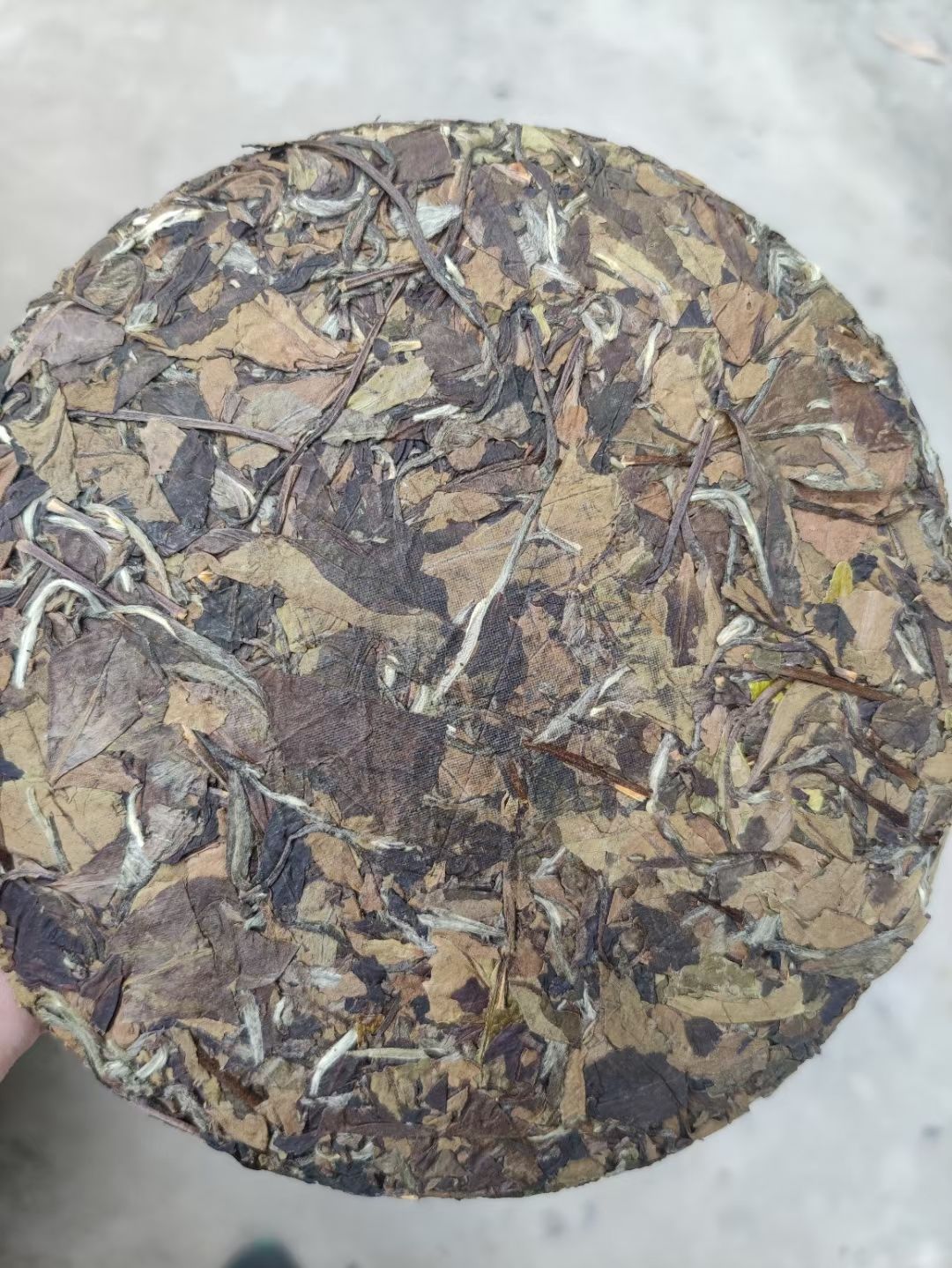 福鼎白茶2015年磻溪老寿眉老白茶饼