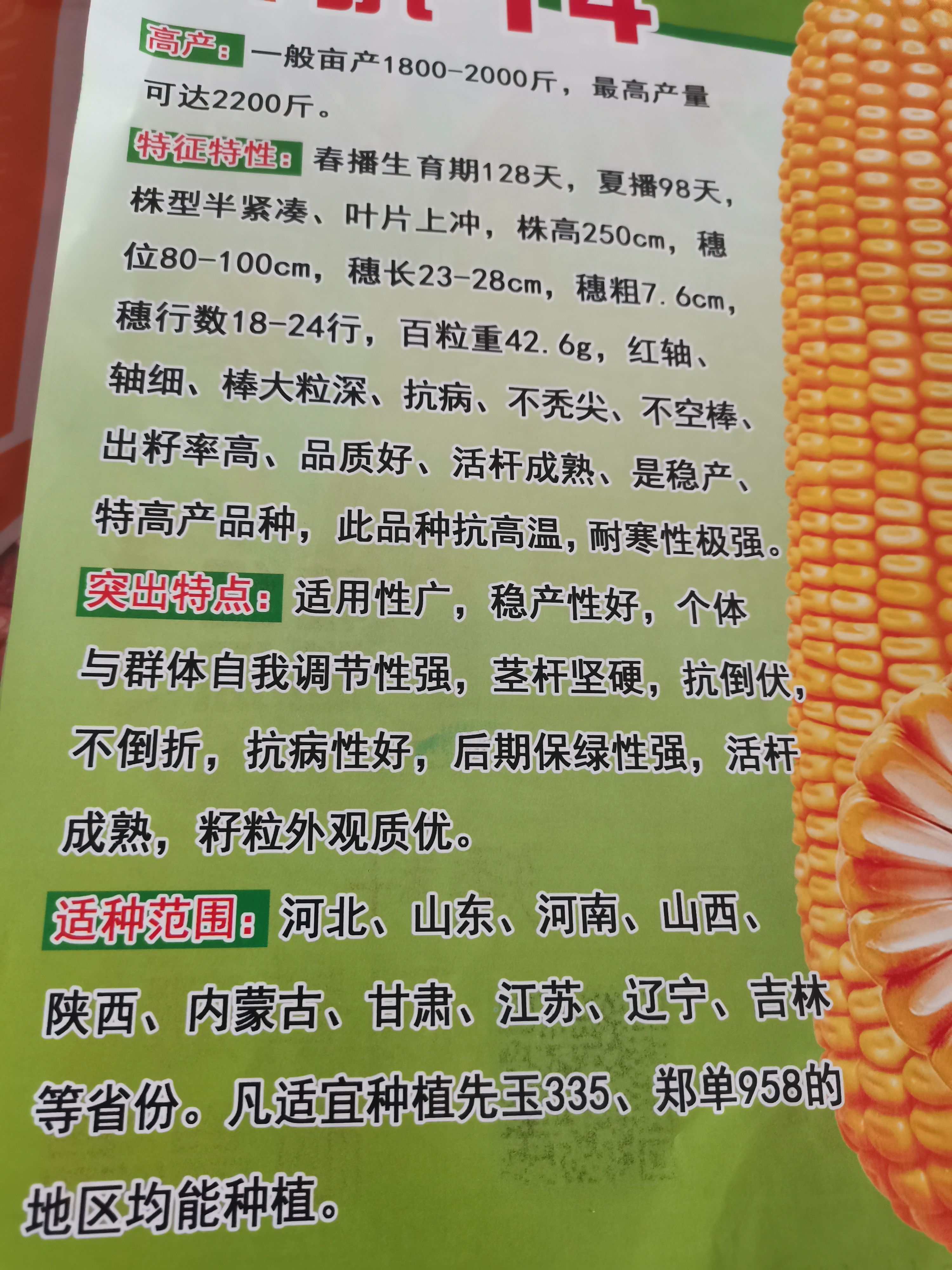 忻抗14玉米种子杂交产量高棒子大矮杆高抗锈病山东厂家直供包邮