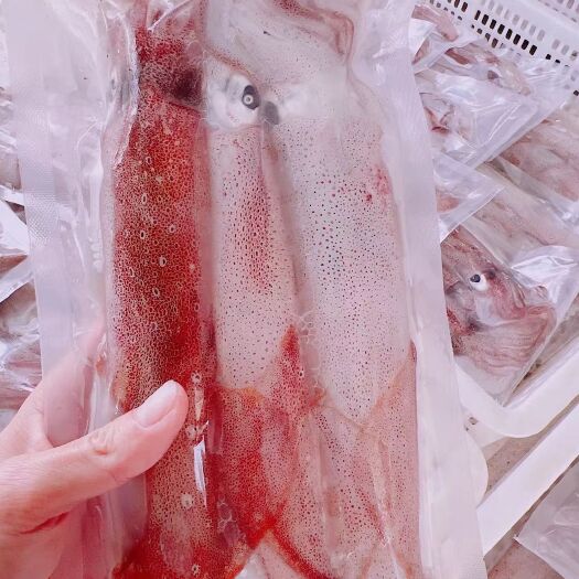 琼海市鱿鱼