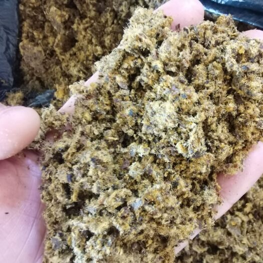 石家庄棉籽饼