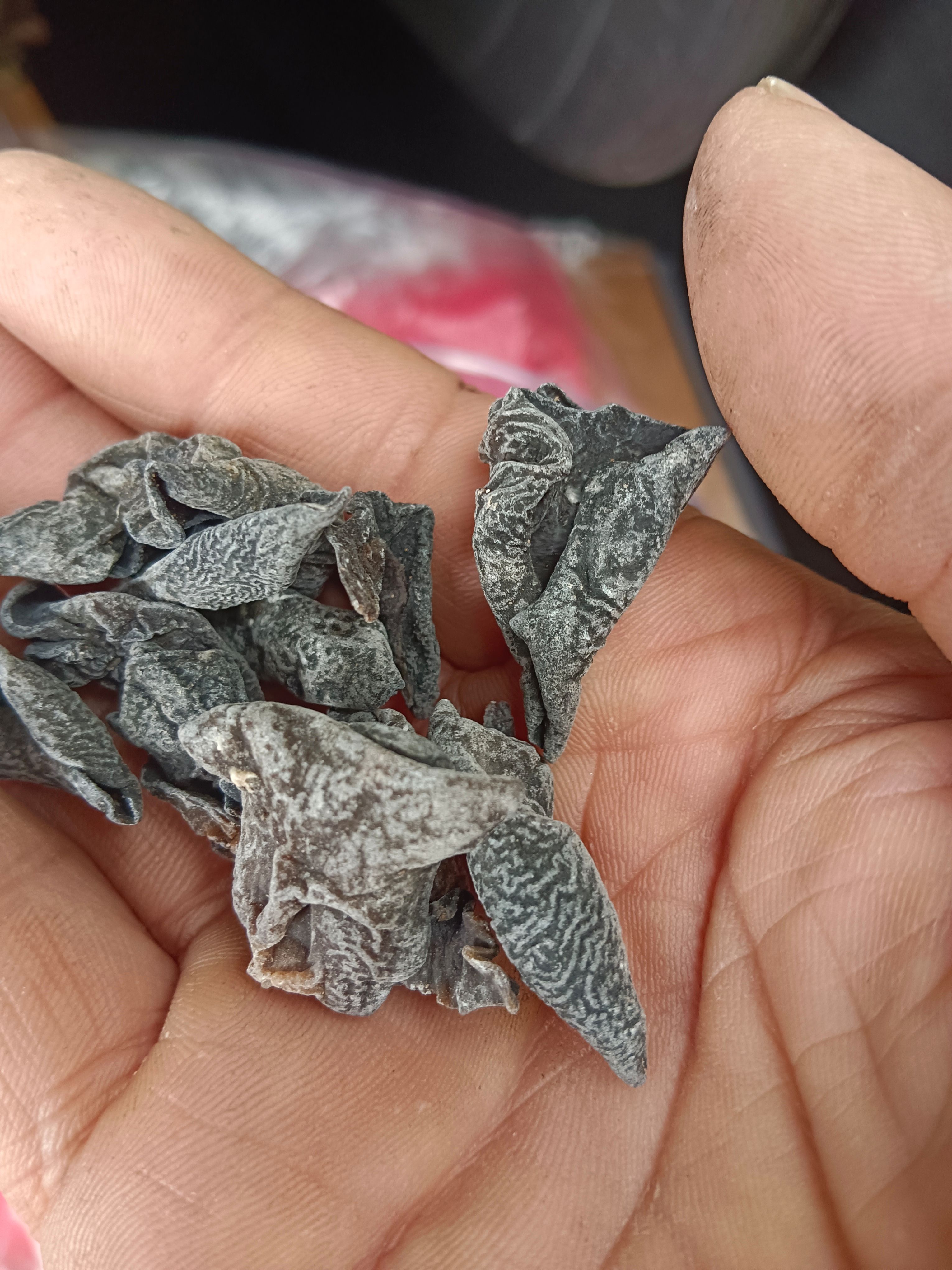 干黑木耳，碗耳