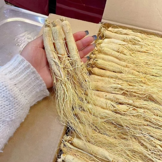 抚松县【下单联系商家】长白山人参 足干足秤生晒参 白参整枝500克
