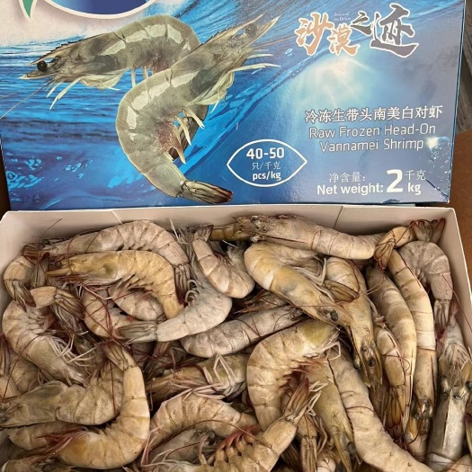 连云港沙特虾